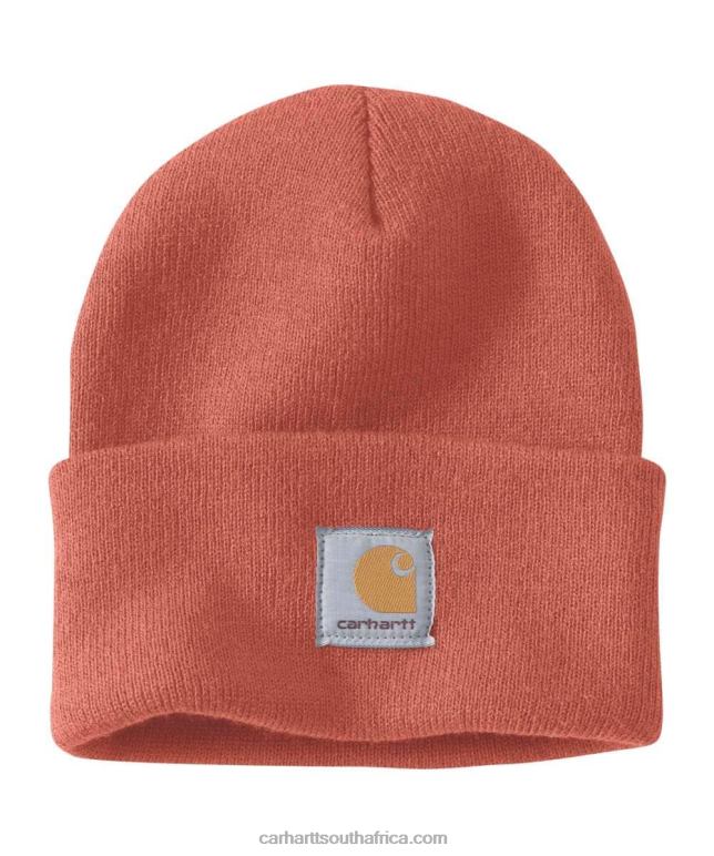 Men Arborvitae 6D80X80 Carhartt Knit Cuffed Beanie