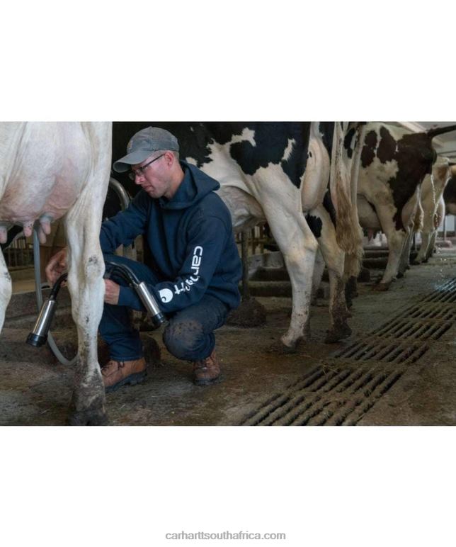 Men Alpine Blue Heather 6D80X38 Carhartt Loose Fit Midweight Logo Sleeve Graphic Sweatshirt